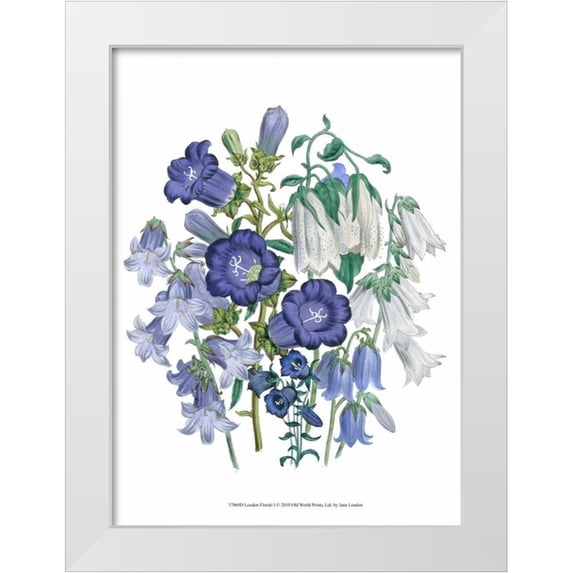 Loudon, Jane 11x14 White Modern Wood Framed Museum Art Print Titled - Loudon Florals I
