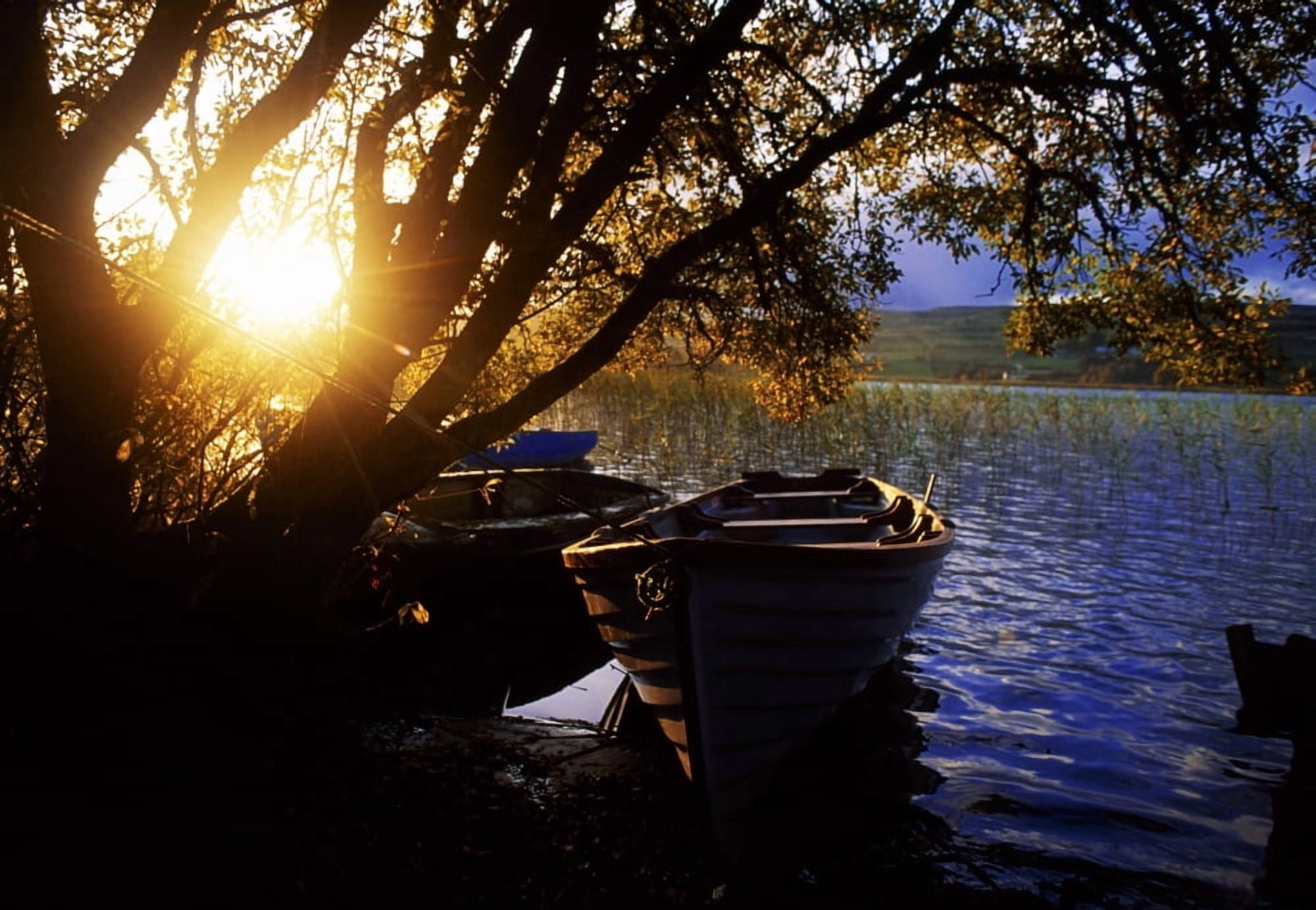 Lough Arrow Co Sligo Ireland Lake Near Ballinafad Canvas Art - The Irish Image Collection Design Pics (36 x 24)
