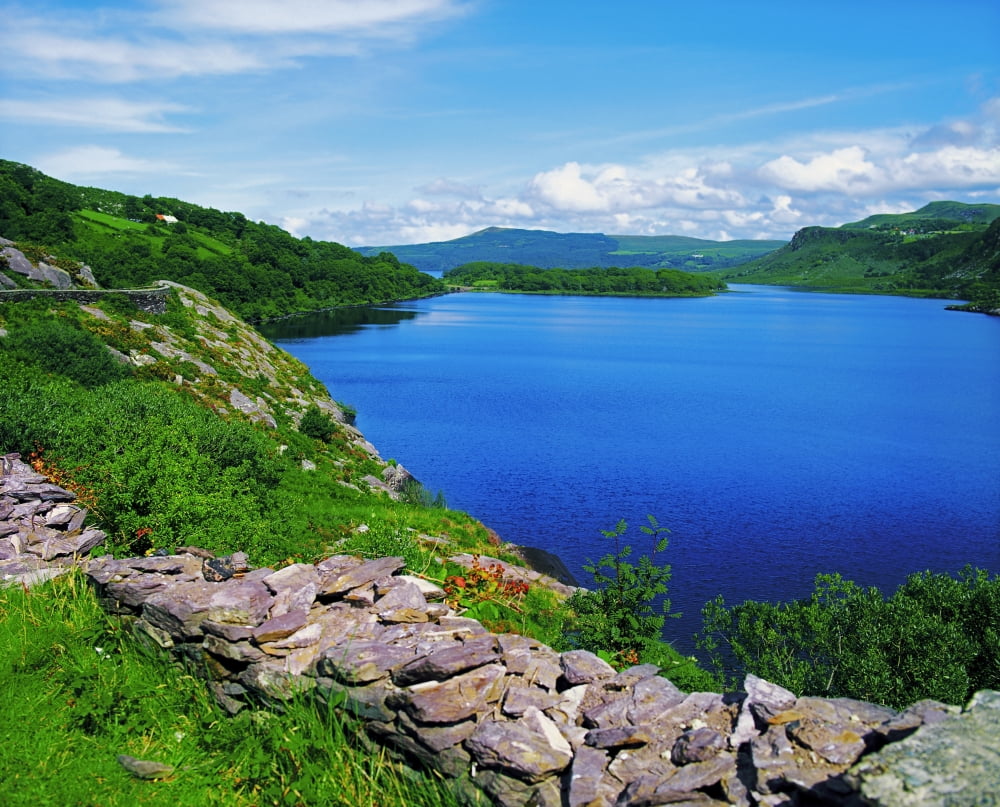 Lough Caragh Co Kerry Ireland Shoreline Of A Lake Canvas Art - The Irish Image Collection Design Pics (17 x 13)