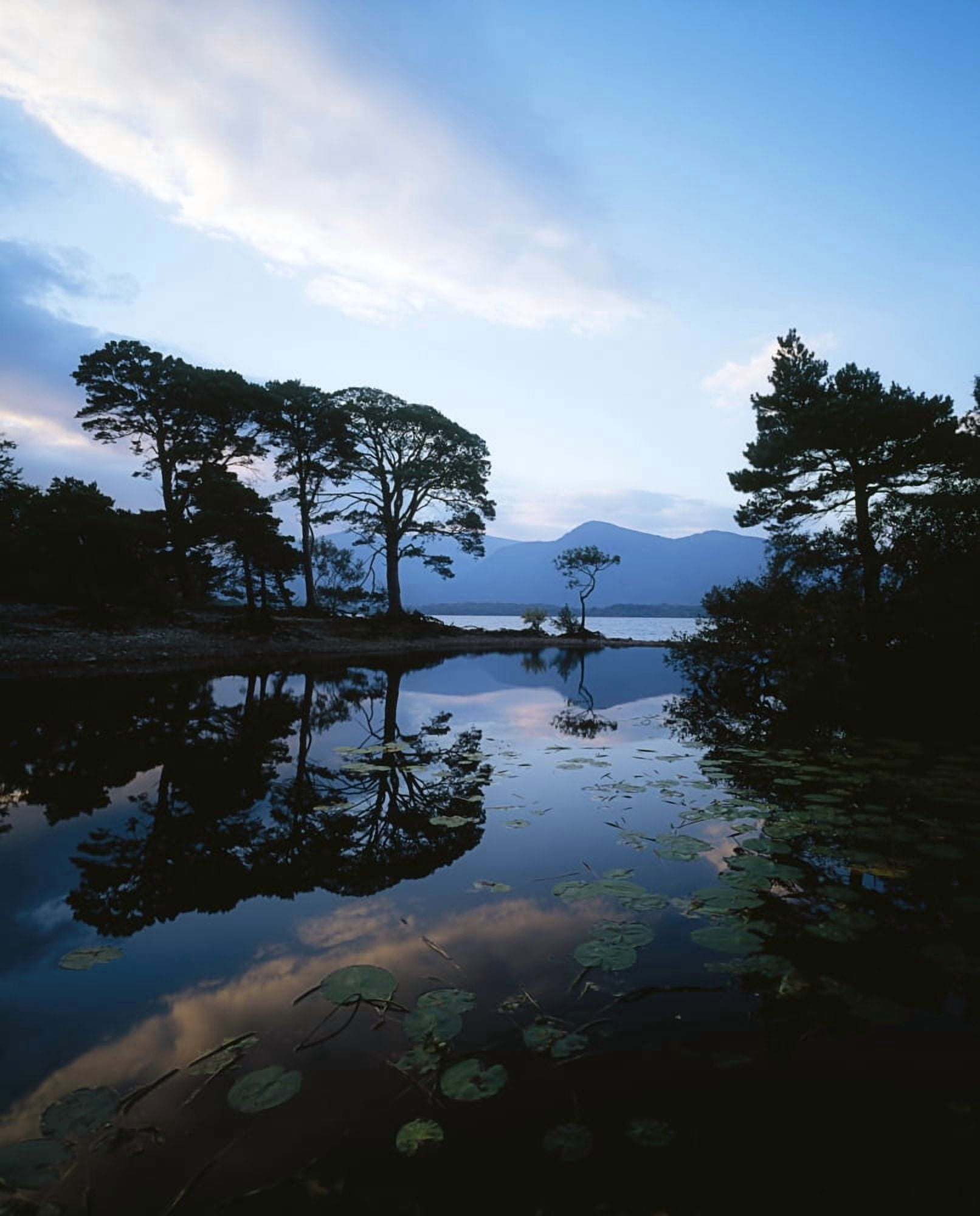 Lough Leane Lakes Of Killarney Killarney Co Kerry Ireland Largest Lake Of The Lakes Of Killarney Canvas Art - The Irish Image Collection Design Pics (13 x 17)