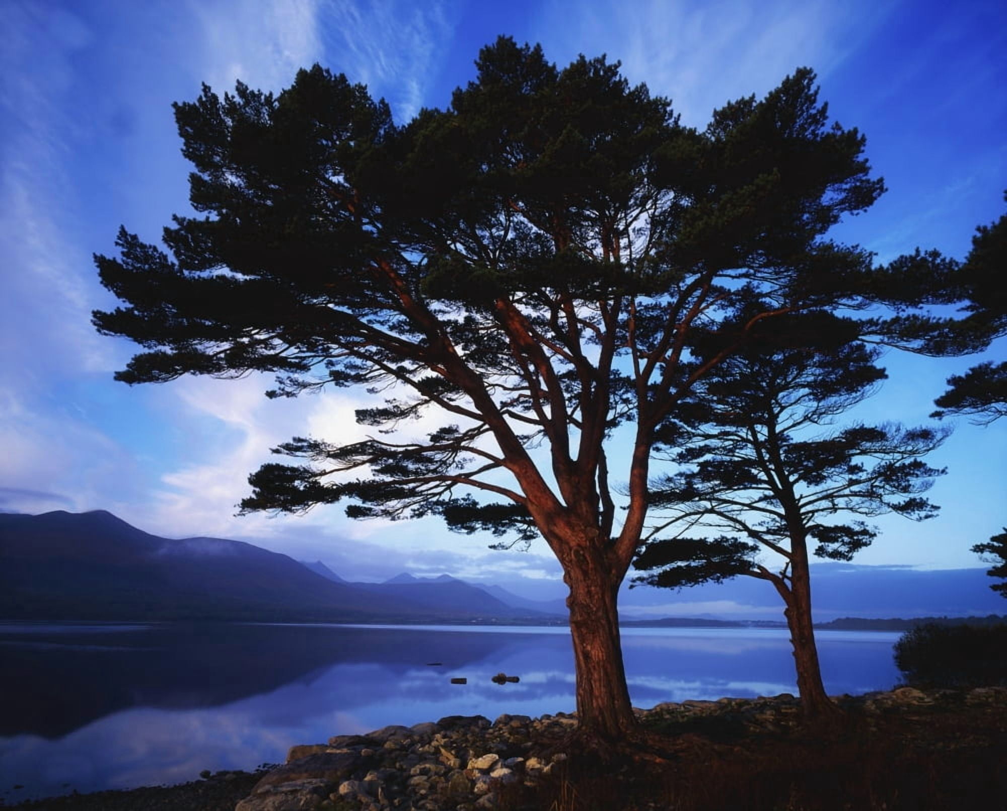 Lough Leane Lakes Of Killarney Killarney Co Kerry Ireland Largest Lake Of The Lakes Of Killarney Canvas Art - The Irish Image Collection Design Pics (17 x 13)