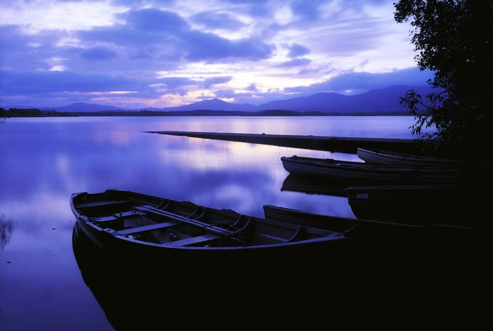Lough Leane Lakes Of Killarney Killarney Co Kerry Ireland Largest Lake Of The Lakes Of Killarney Canvas Art - The Irish Image Collection Design Pics (36 x 24)