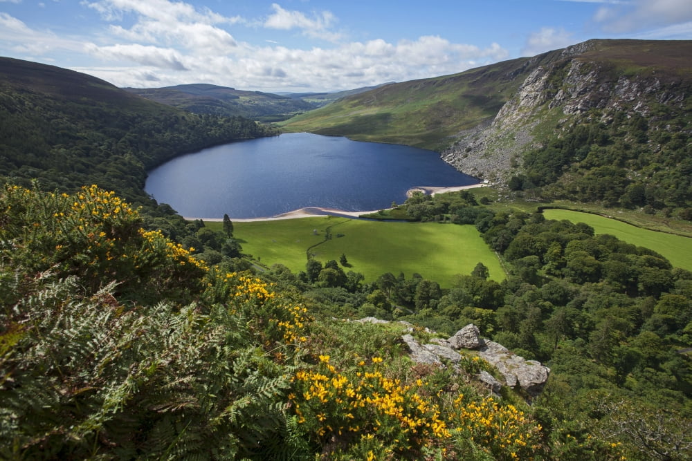 Lough Tay and Wicklow Mountains County Wicklow Ireland Canvas Art - Carl Bruemmer Design Pics (19 x 12)