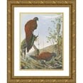 thumbnail image 1 of Louis Agassiz Fuertes 14x18 Gold Ornate Wood Frame and Double Matted Museum Art Print Titled - Malay Bronze-Tailed Peacock Pheasant (1918-1922), 1 of 4