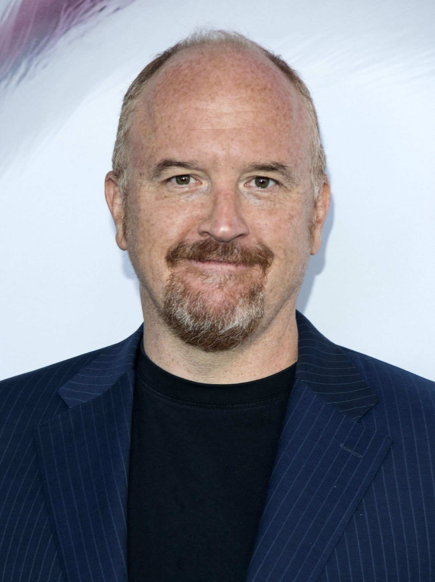 Louis CK At Arrivals For The Secret Life Of Pets Premiere Canvas Art - (16 x 20)