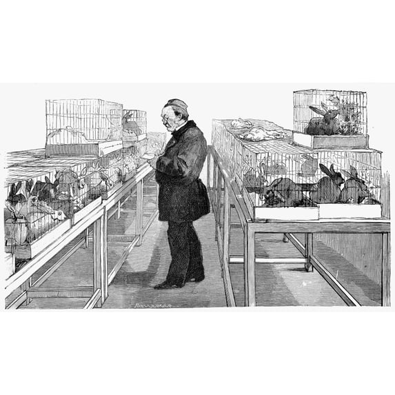 Louis Pasteur. Nfrench Chemist And Microbiologist. Pasteur In His Laboratory Developing His Treatment For