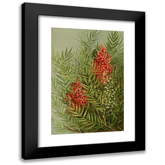 Louis Prang 11x14 Black Modern Framed Museum Art Print Titled - Mountain Ash (ca. 1861-1897)