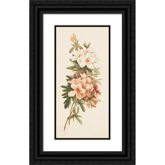 Louis Prang 11x18 Black Ornate Wood Framed Double Matted Museum Art Print Titled - Azaleas (ca. 1861-1897)