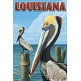 thumbnail image 1 of Louisiana, Brown Pelicans (12x18 Wall Art Poster, Room Decor), 1 of 3