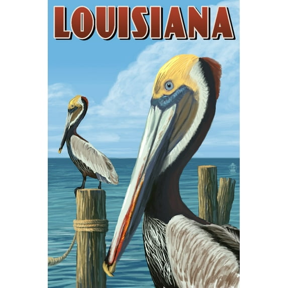 Louisiana, Brown Pelicans (24x36 Giclee Gallery Art Print, Vivid Textured Wall Decor)