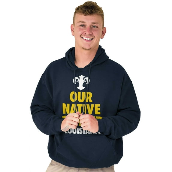 Louisiana Crawfish Fleur De Lis Funny Unisex Plus Fleece Graphic Hoodie Brisco Brands 3X
