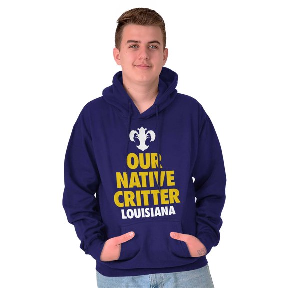 Louisiana Crawfish Fleur De Lis Funny Unisex Plus Fleece Graphic Hoodie Brisco Brands 3X