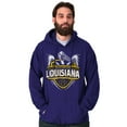 thumbnail image 1 of Louisiana Emblem Pelican Fleur de Lis Unisex Plus Fleece Graphic Hoodie Brisco Brands 2X, 1 of 5