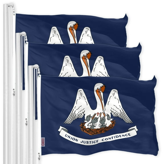 Louisiana LA State Flag 3x5FT 3-Pack 150D Printed Polyester By G128