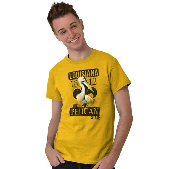 Louisiana Pelican State Cool Vintage Men's Graphic T Shirt Tees Brisco Brands S