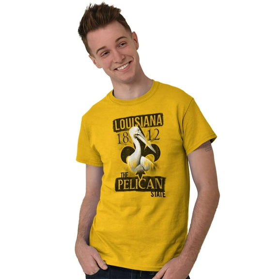 Louisiana Pelican State Cool Vintage Men's Graphic T Shirt Tees Brisco Brands S