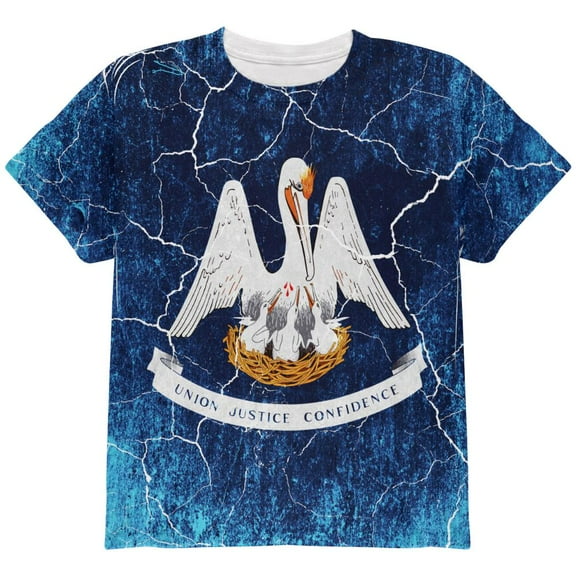 Louisiana Vintage Distressed State Flag All Over Youth T Shirt Multi YSM