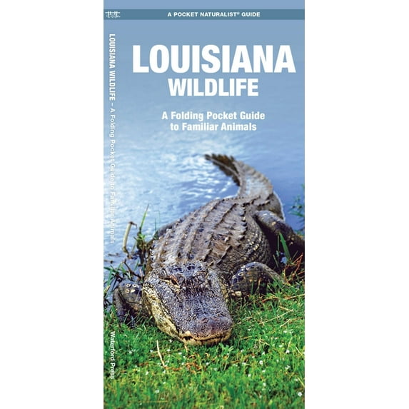 Louisiana Wildlife: An Introduction to Familiar Species