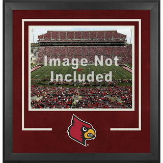 Louisville Cardinals 60'' x 70'' Home State Circle Flannel Fleece Blanket
