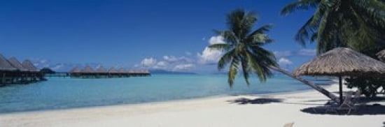 Lounge chair under a beach umbrella Moana Beach Bora Bora French Polynesia Canvas Art - Panoramic Images (36 x 12)