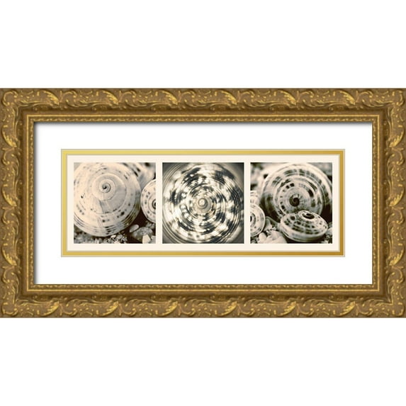 Lourens, N. 32x14 Gold Ornate Wood Framed with Double Matting Museum Art Print Titled - Shell Collection