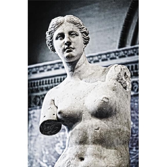 Louvre  Paris  France; Statue Or Venus De Milo Poster Print