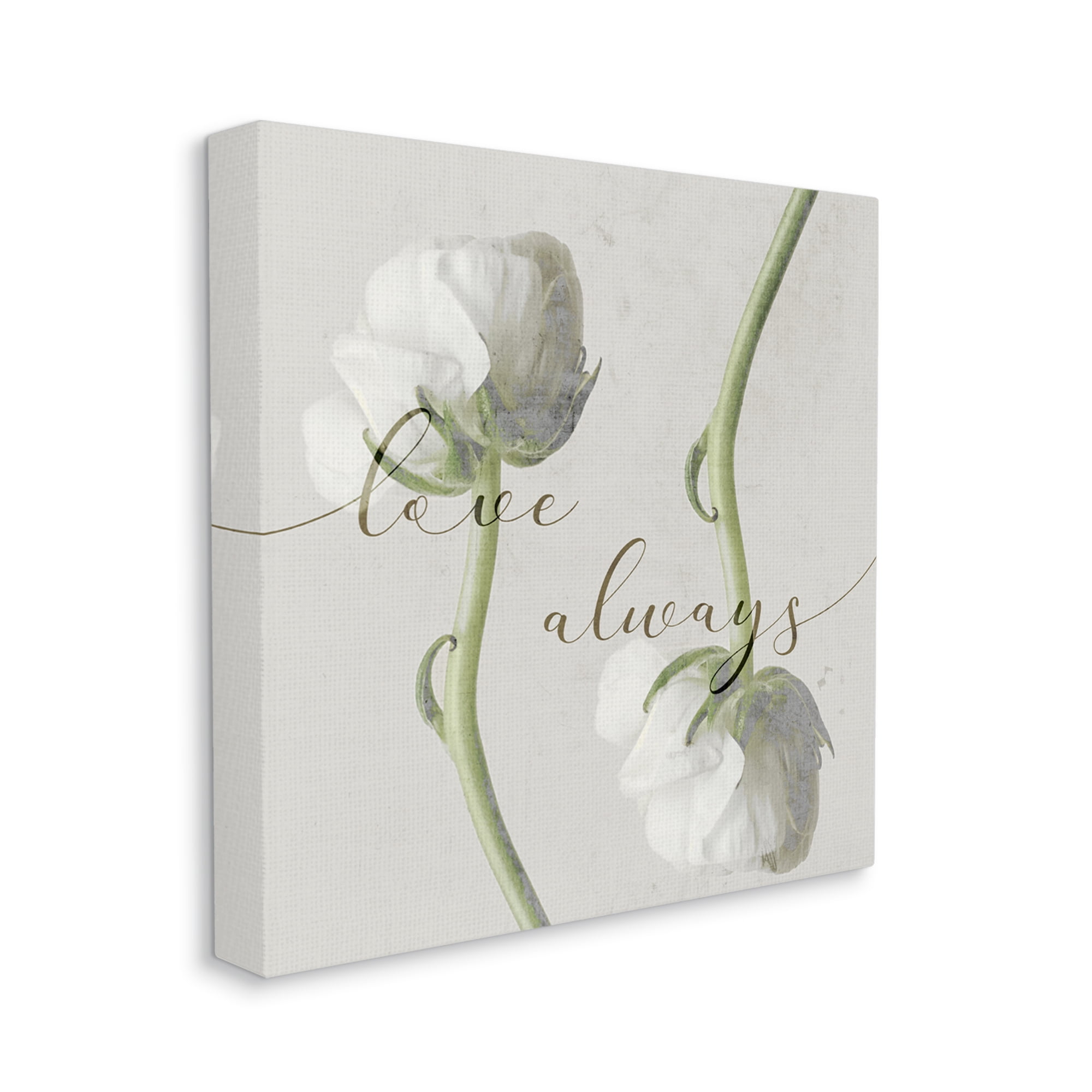 Love Always Phrase Asymmetrical Floral White Roses 36 in x 36 in Painting Canvas Art Print, by Stupell Home Décor