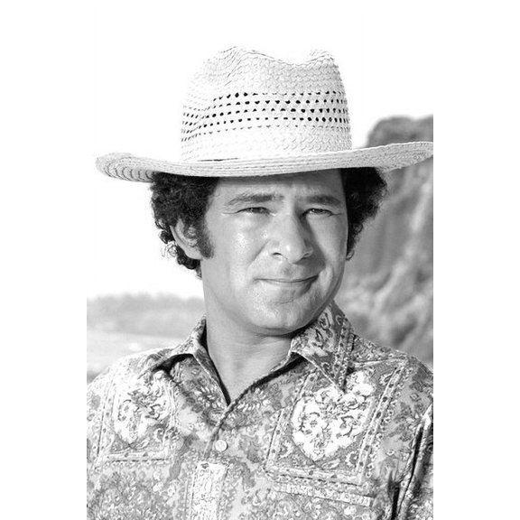 Love, American Style Stuart Margolin 24x36 Poster