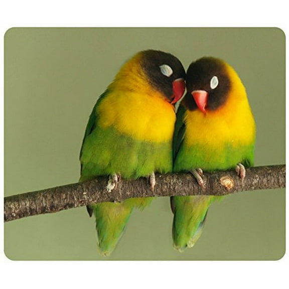 Love Birds Mouse pads Gaming Mouse Pad 9.84x7.87 inches