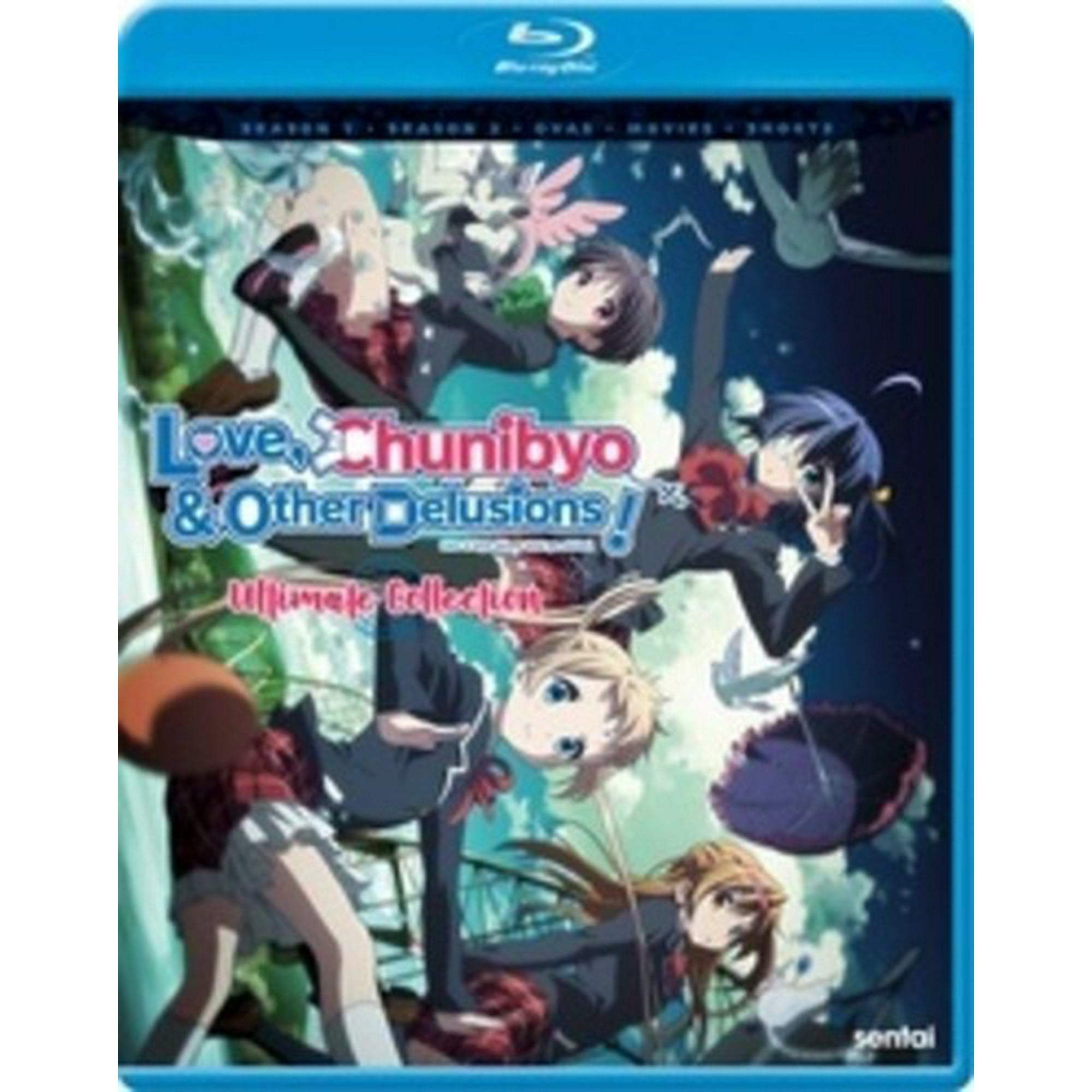 Love Chunibyo & Other Delusions: The Complete Collection