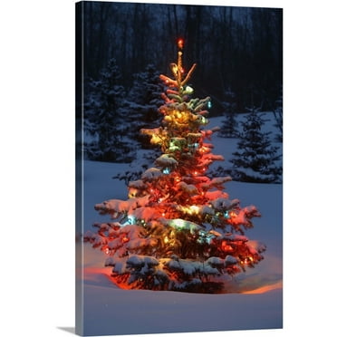 Great Big Canvas "Christmas Tree With Lights Outdoors In The Forest"  by Carson Ganci Black White   Wrapped Canvas Print Wall Artwork