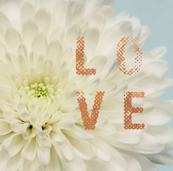 Love Flower Canvas Art - Julie Greenwood (24 x 24)