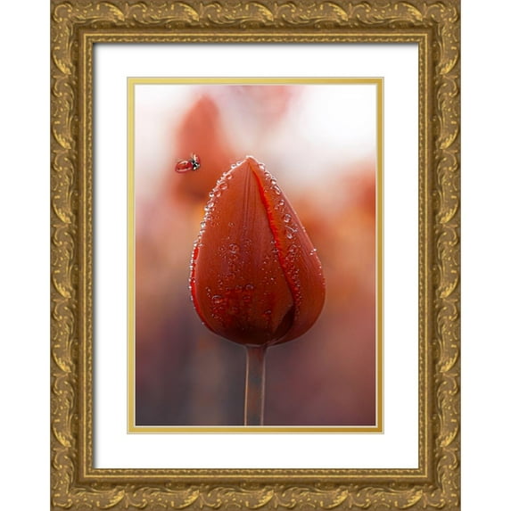 Love Grams 11x14 Gold Ornate Wood Framed with Double Matting Museum Art Print Titled - Tulips at Dawn