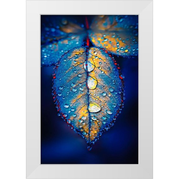 Love Grams 11x14 White Modern Wood Framed Museum Art Print Titled - Drops of Jupiter