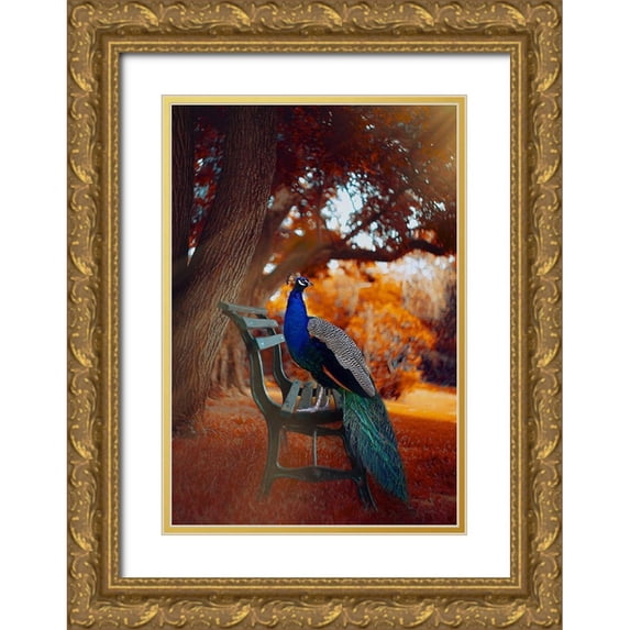 Love Grams 14x18 Gold Ornate Wood Framed with Double Matting Museum Art Print Titled - Peacock Magic