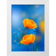 thumbnail image 1 of Love Grams 14x18 White Modern Wood Framed Museum Art Print Titled - Wild Poppies, 1 of 4