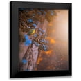 thumbnail image 1 of Love Grams 15x18 Black Modern Framed Museum Art Print Titled - Falling for You, 1 of 5