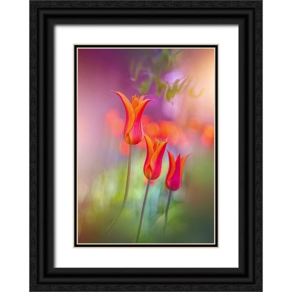 Love Grams 18x24 Black Ornate Wood Framed with Double Matting Museum Art Print Titled - Tulip Rainbows