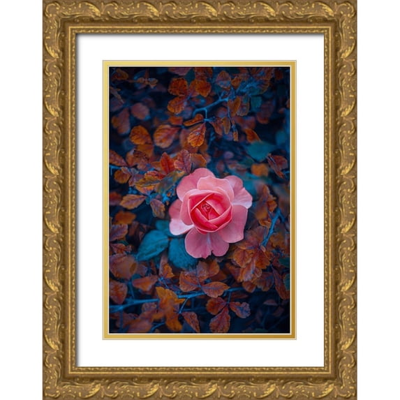 Love Grams 23x32 Gold Ornate Wood Framed with Double Matting Museum Art Print Titled - If There Be Thorns