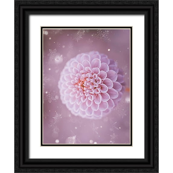 Love Grams 25x32 Black Ornate Wood Framed with Double Matting Museum Art Print Titled - Snowflakes and Cotton Candy
