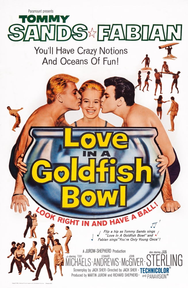 Love In A Goldfish Bowl U Canvas Art -  (24 x 36)