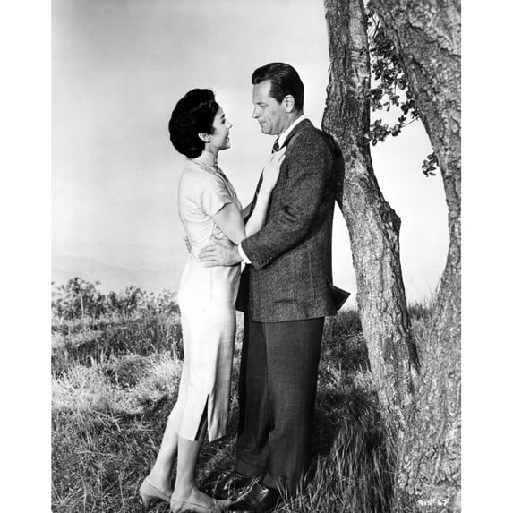 Love Is A Many-Splendored Thing Photo Print