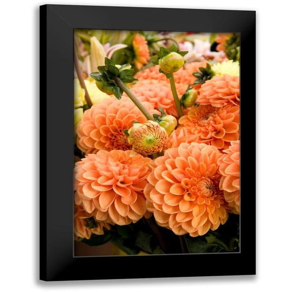 Love, Maureen 11x14 Black Modern Framed Museum Art Print Titled - Peach Dalhia II