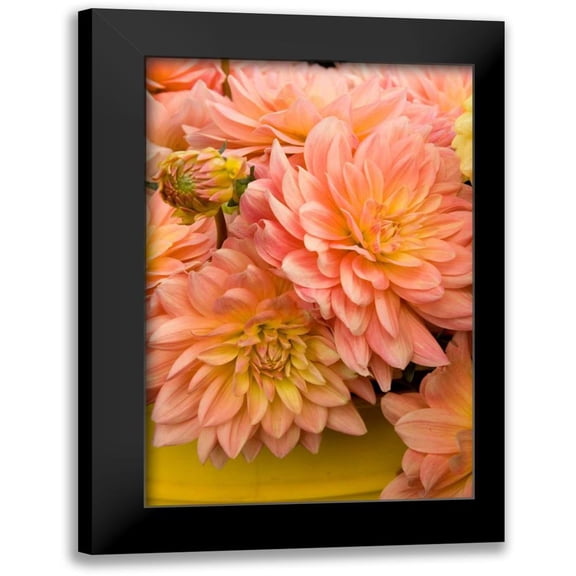 Love, Maureen 11x14 Black Modern Framed Museum Art Print Titled - Peach Dalhia IV