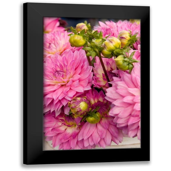 Love, Maureen 11x14 Black Modern Framed Museum Art Print Titled - Pink Dalhia I