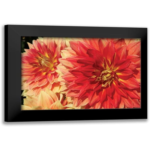 Love, Maureen 14x11 Black Modern Framed Museum Art Print Titled - Hot Sun I