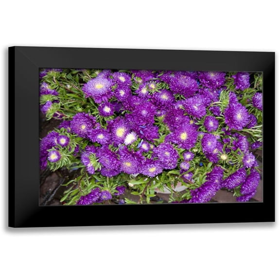 Love, Maureen 14x11 Black Modern Framed Museum Art Print Titled - Purple Stars I