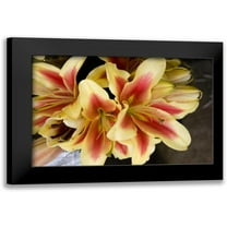 Love, Maureen 14x11 Black Modern Framed Museum Art Print Titled - Vanilla Lily I
