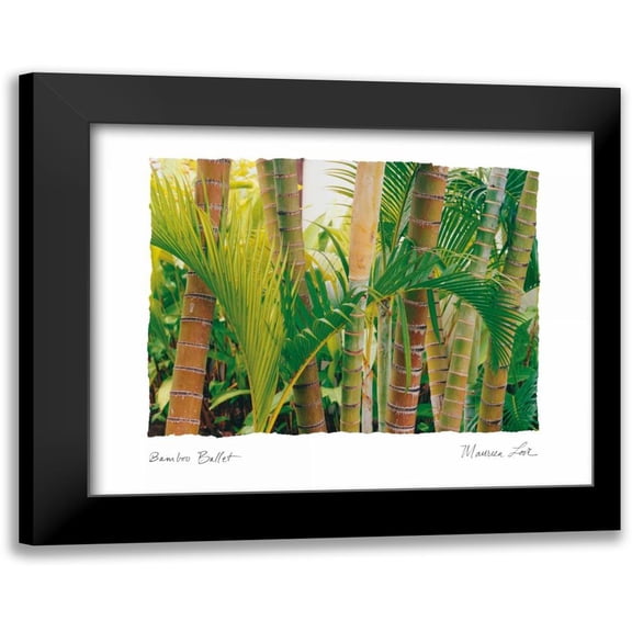 Love, Maureen 14x12 Black Modern Framed Museum Art Print Titled - Bamboo Ballet