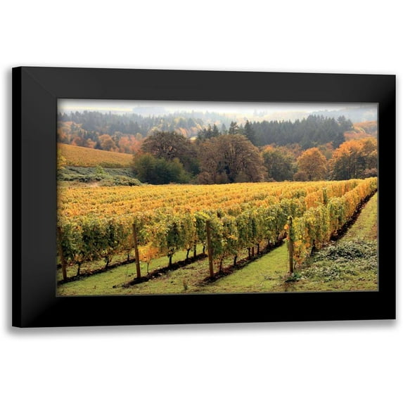 Love, Maureen 18x13 Black Modern Framed Museum Art Print Titled - Bella Vida II
